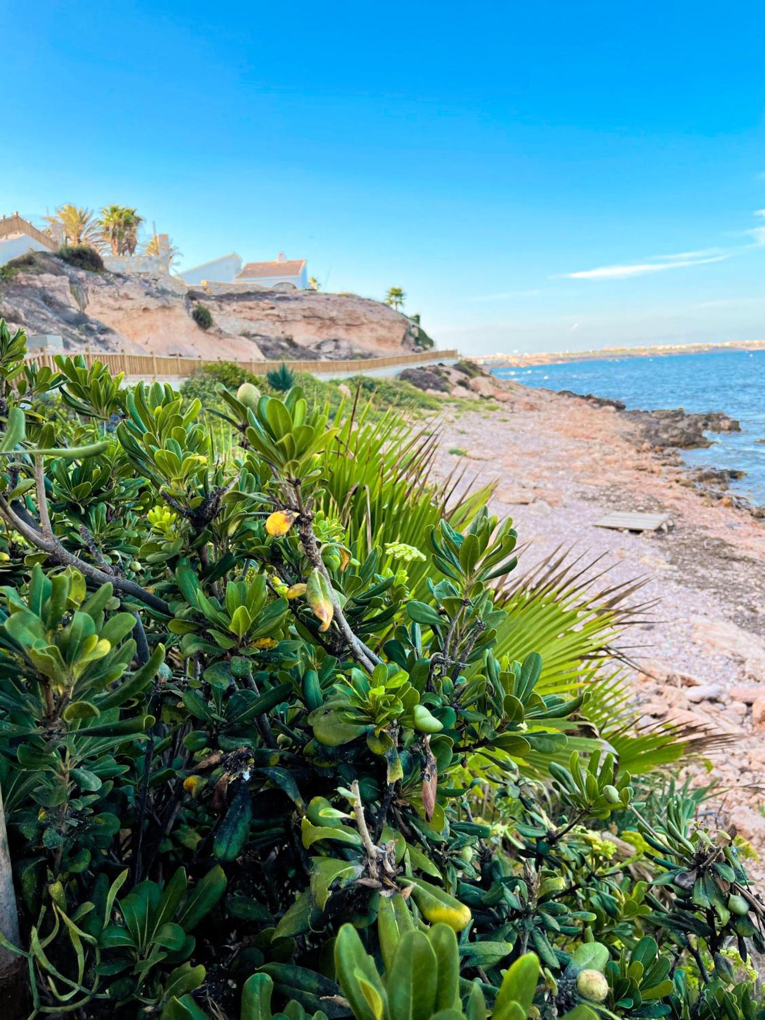 Апартаменты Hola Blanca - Sea, Golf, Chill Dehesa de Campoamor  Экстерьер фото