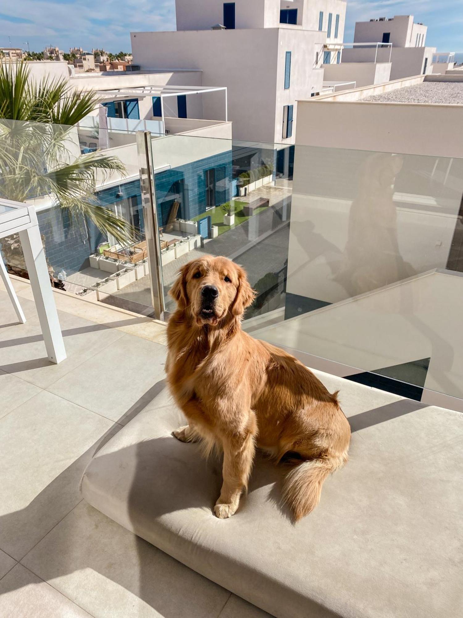 Апартаменты Hola Blanca - Sea, Golf, Chill Dehesa de Campoamor  Экстерьер фото