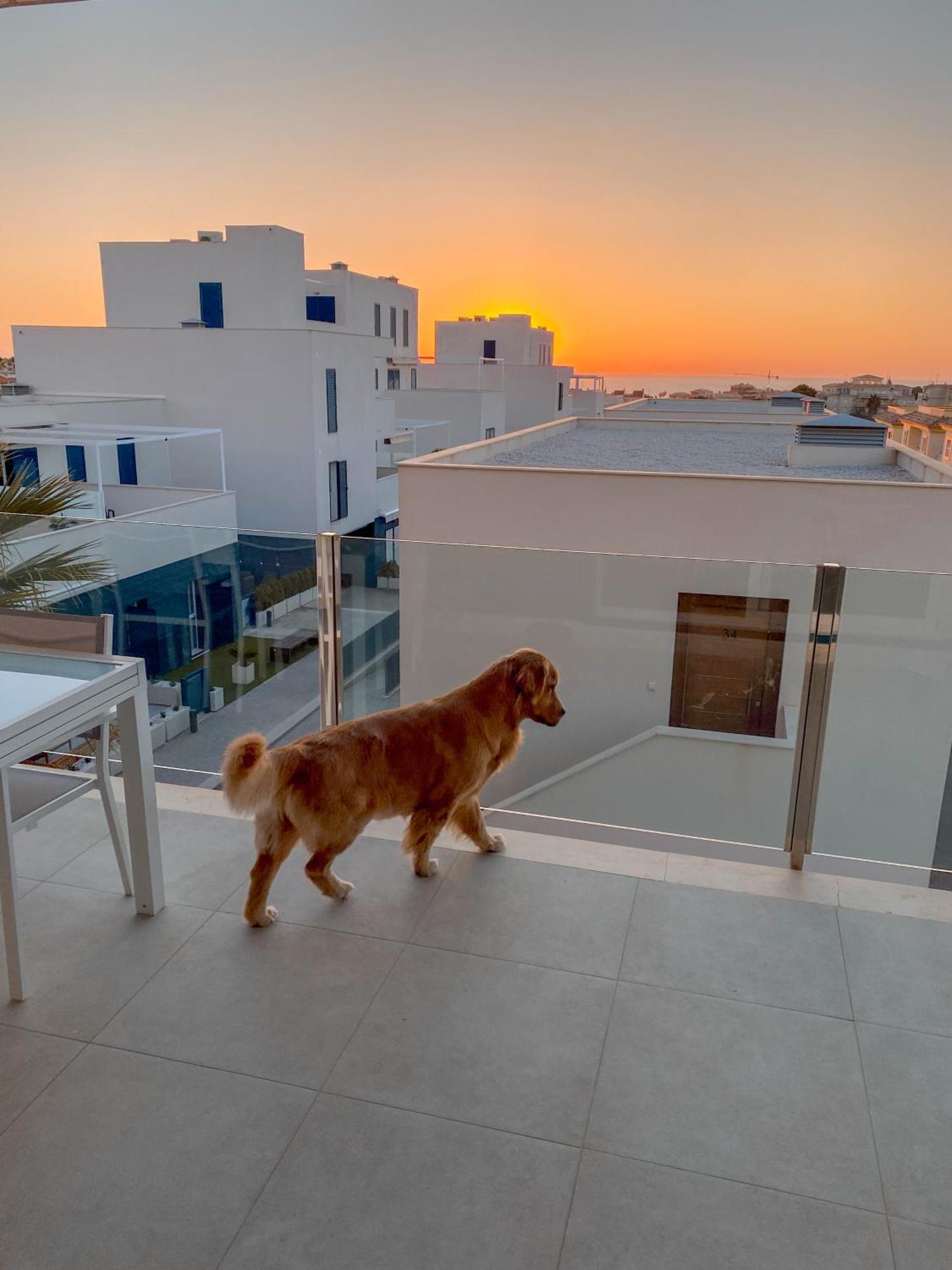 Апартаменты Hola Blanca - Sea, Golf, Chill Dehesa de Campoamor  Экстерьер фото